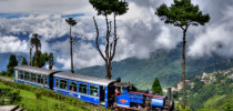 Darjeeling3