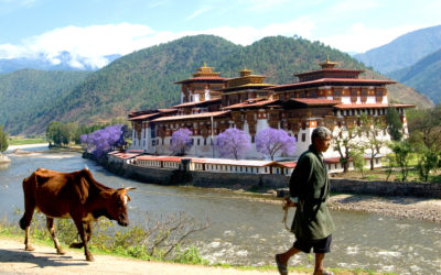 BHUTAN/ Punakha 5/2006
Punakha Dzong (monastery) was built in in 1638 and was later the seat of the government. The monastery lies at the confluence of the Mo Chhu River (in the picture) and the Pho Chhu River.
©Josef Polleross