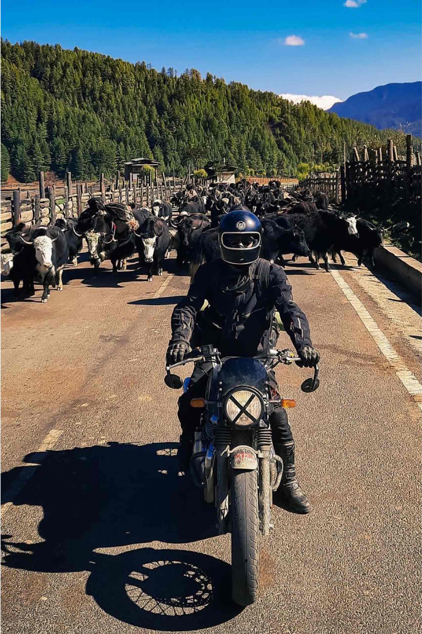 Mountain Motor Biking