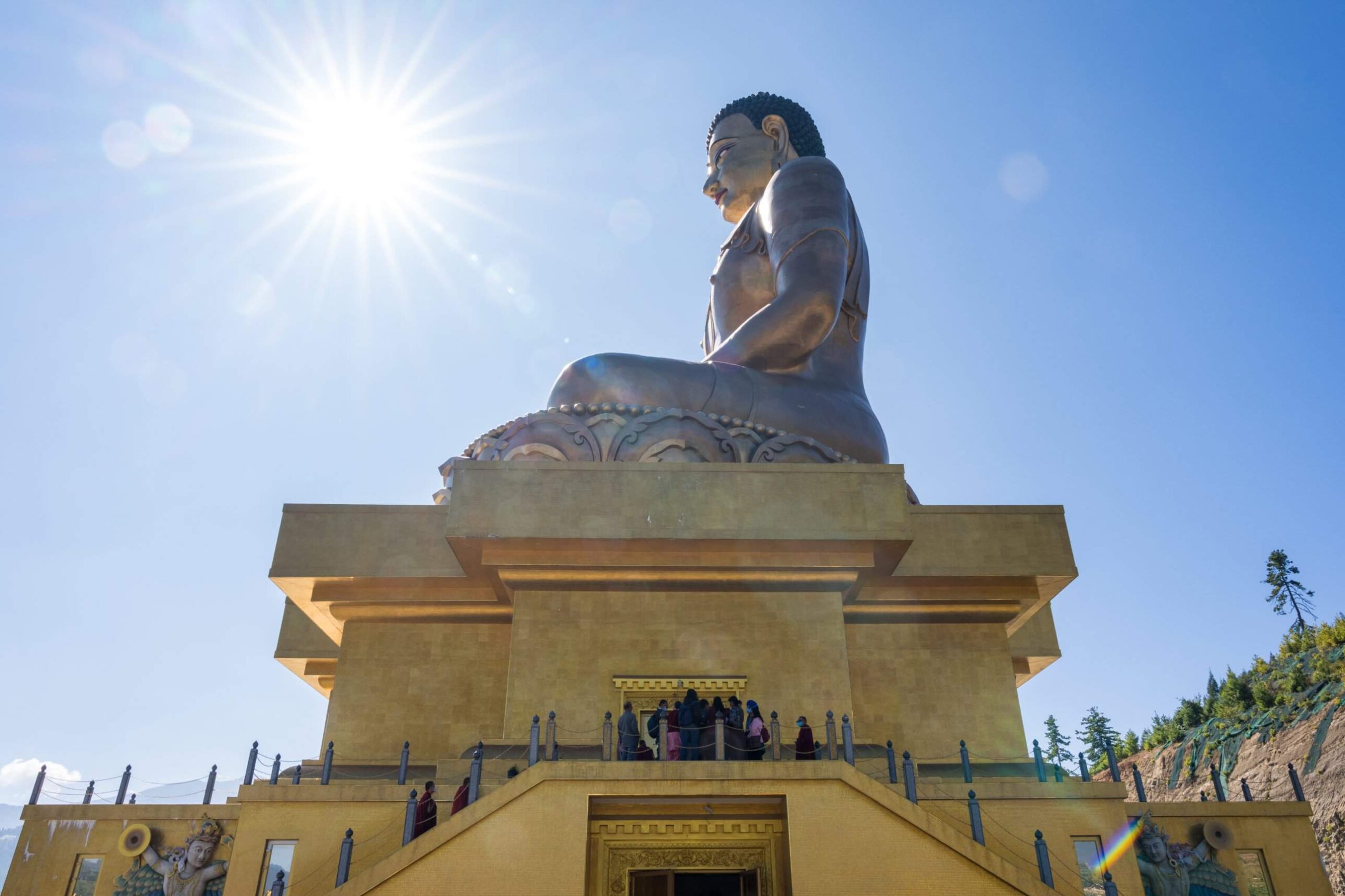 Meditation & Yoga