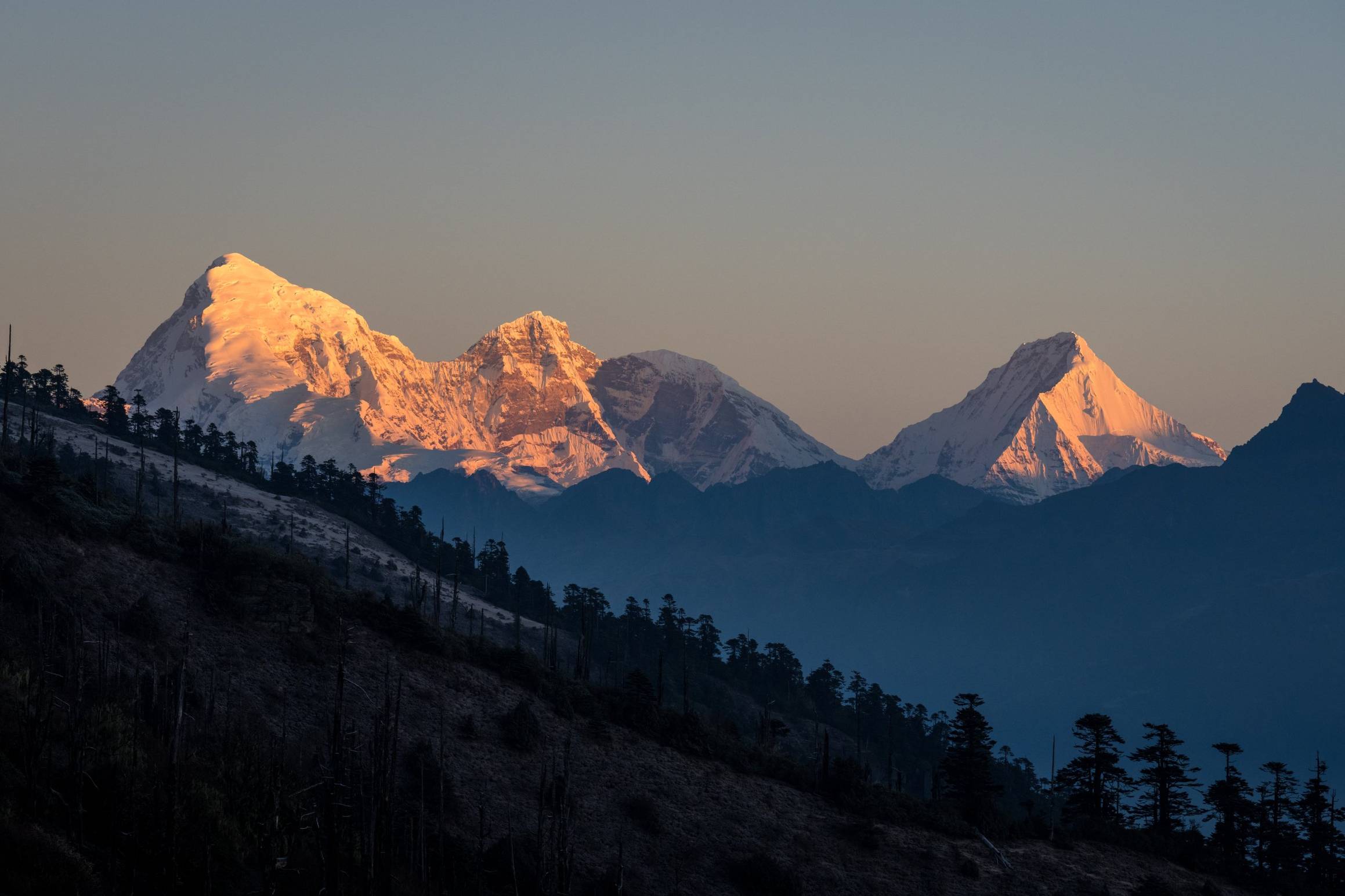 Photography Tours