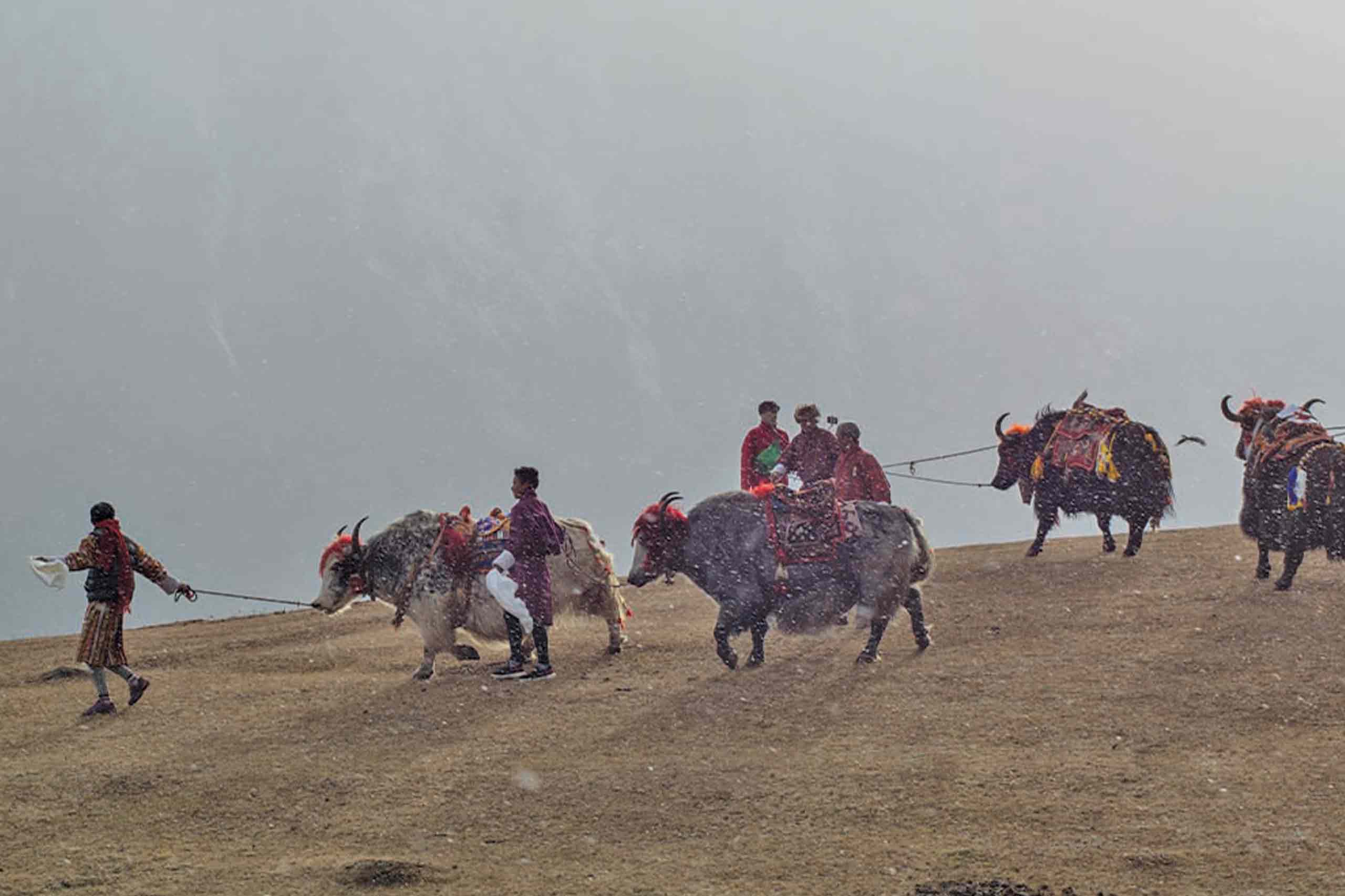 Laya Lingshi Trek